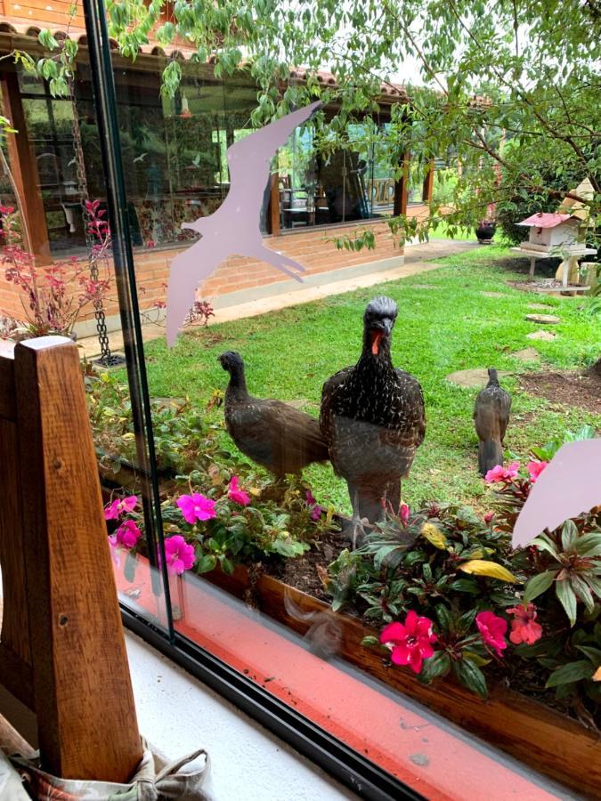 Aconchegante Casa Em Monte Verde ภายนอก รูปภาพ