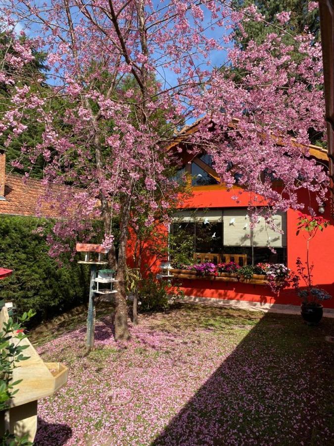 Aconchegante Casa Em Monte Verde ภายนอก รูปภาพ